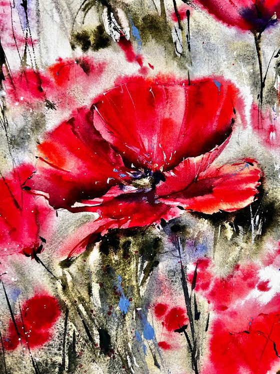 Poppy flowers in watercolor