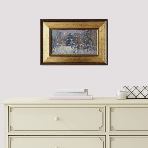 A spruce on a winter boulevard at night