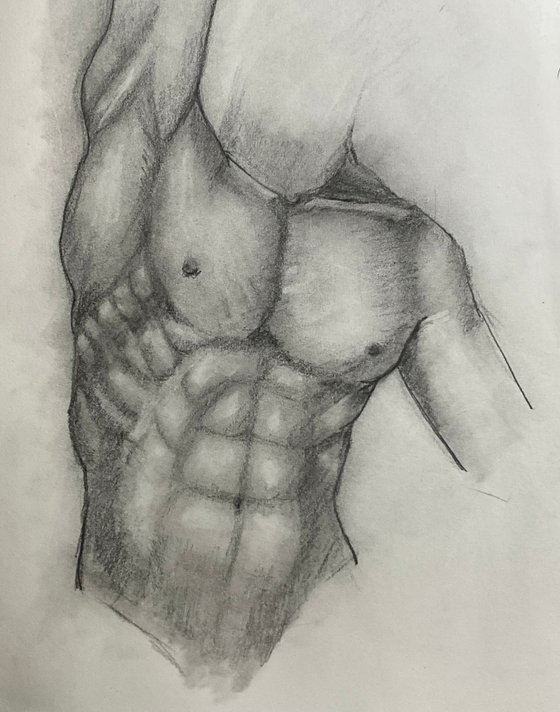 Male Torso Study