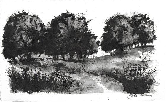 Landscape_240903