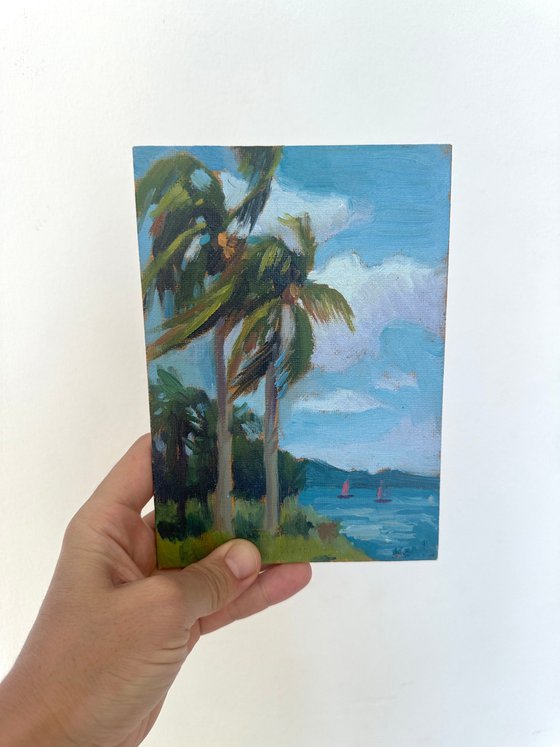 Two palms. Seascape