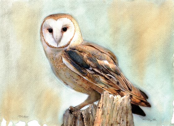 OWL - BIRD CIX
