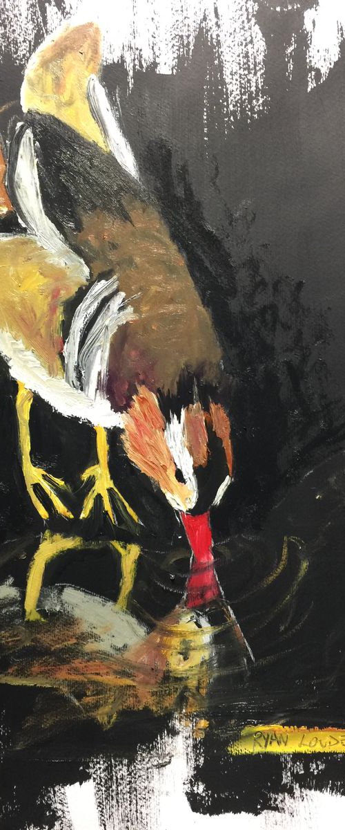 Duck by Ryan  Louder