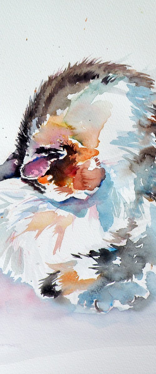 Beautify cat by Kovács Anna Brigitta