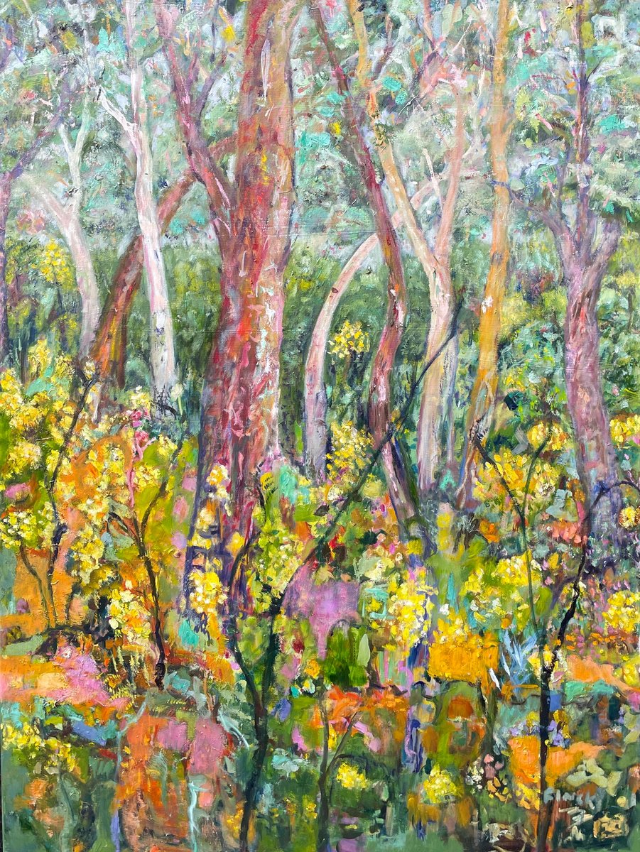 Impressionistic Landscape Oil Painting By Maureen Finck, 30 X 40", Eucalypts And Wattle, Original Artwork