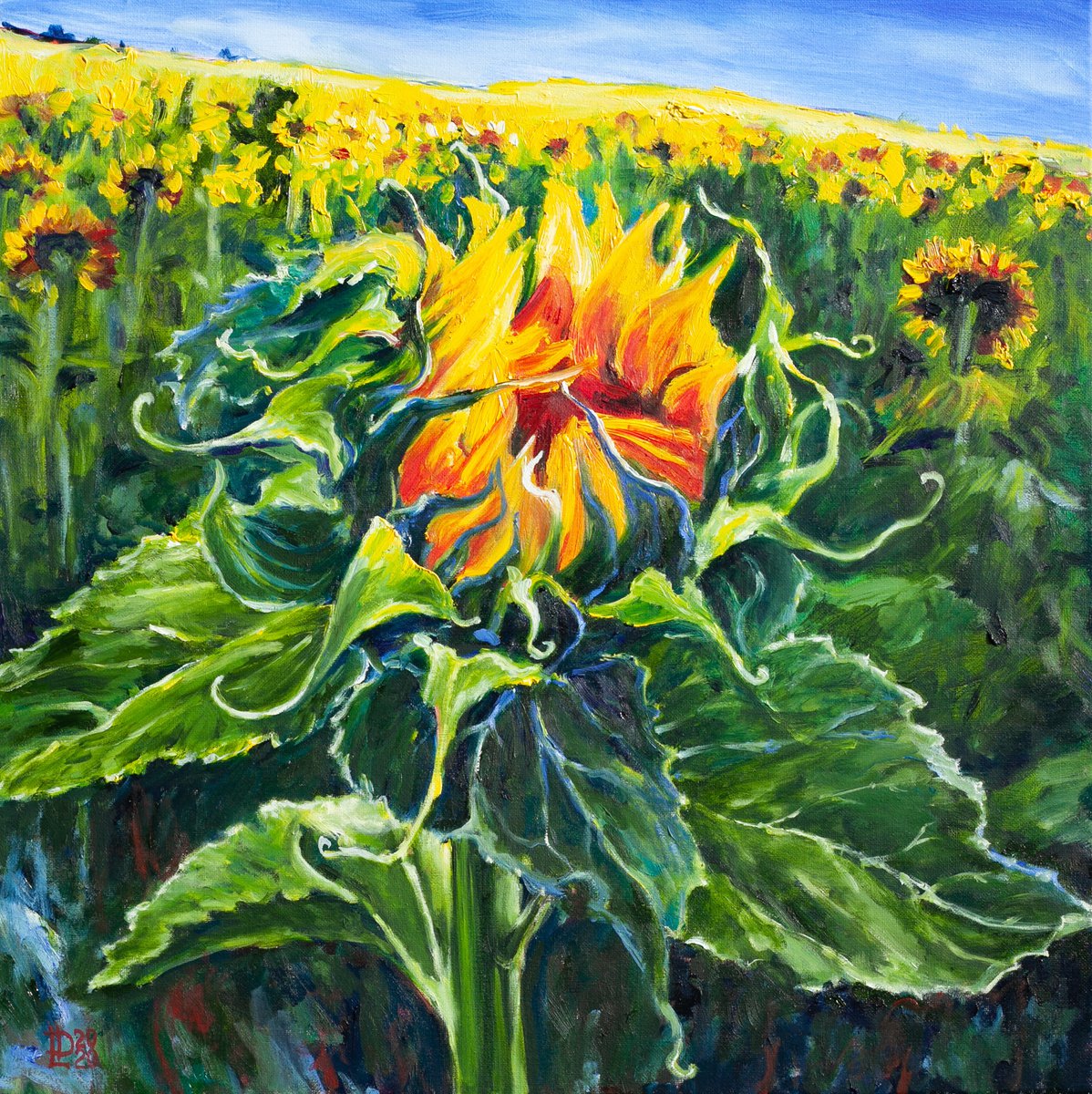 Sunflower by Liudmila Pisliakova