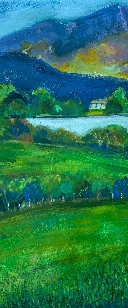 Lakeland View by Janice MacDougall
