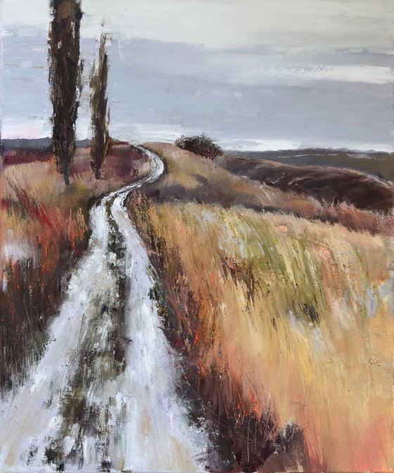Landscape. Road through a field