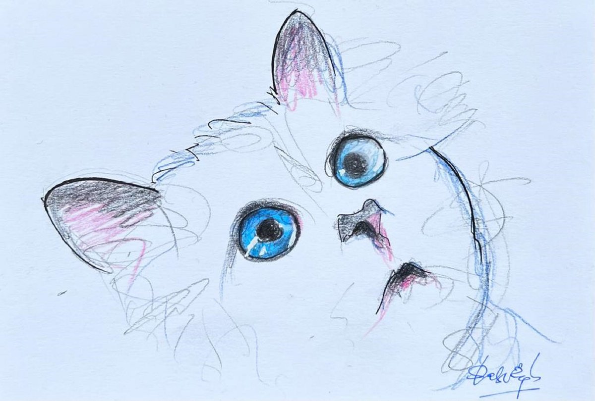 Expressive Animal Ink Drawing By Shabs Beigh, 17 X 13", Choupette 3, Original Artwork