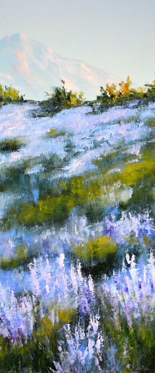 Wild lavender in the haze of the morning sun by Elena Lukina