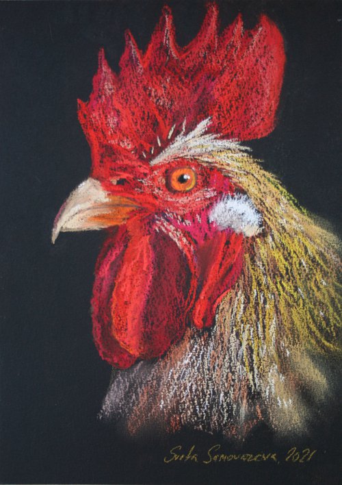 Rooster V - Pet portrait /  ORIGINAL PAINTING by Salana Art Gallery