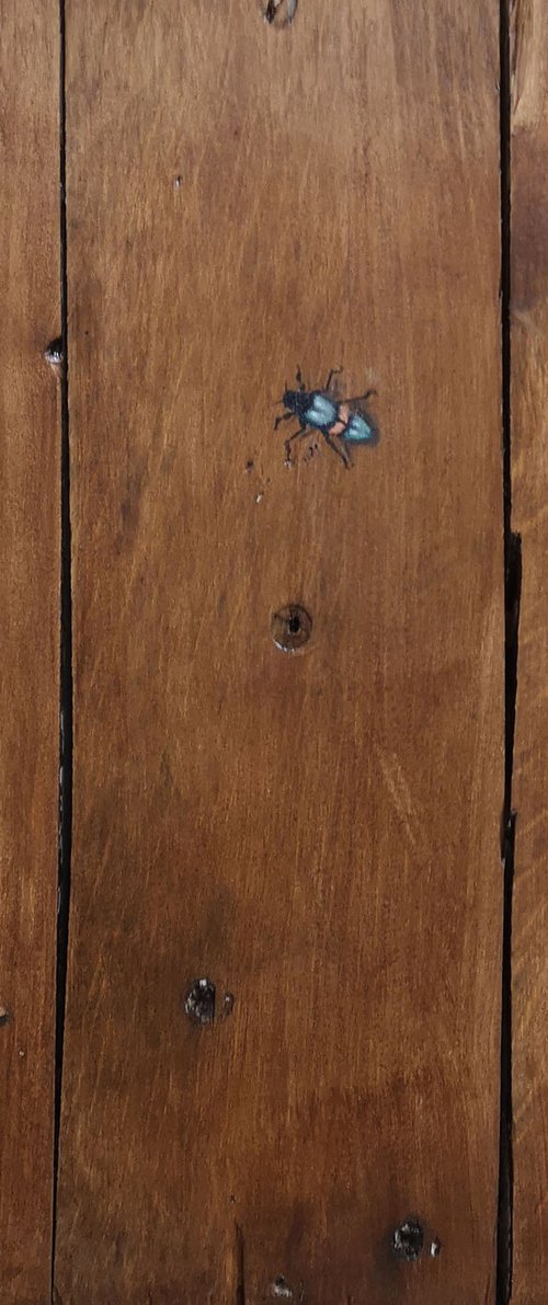 Frog and beetle on recycled wood by Mike Skidmore