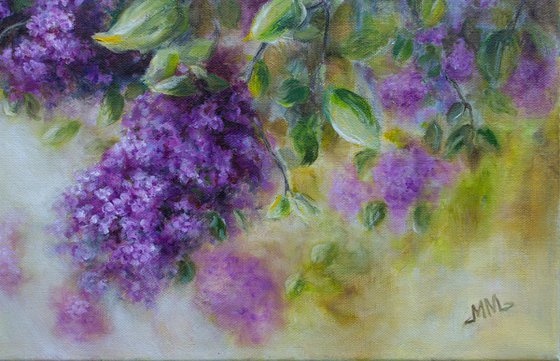 Sunny Lilac