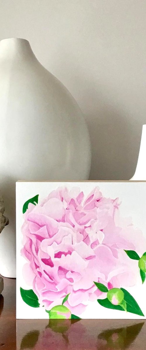 Pink Peonies by Susan Porter