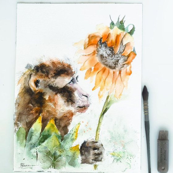 Monkey and Sunflower