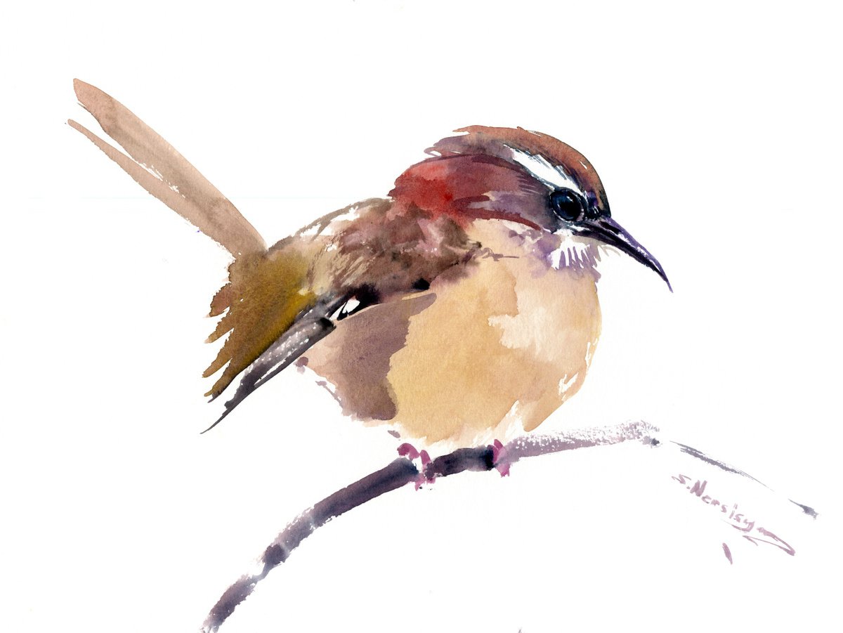 Carolina Wren by Suren Nersisyan