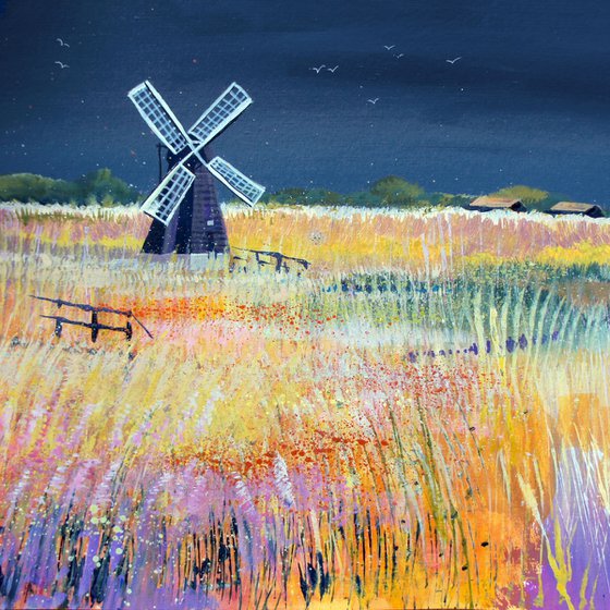 Wicken Fen - Storm Sky