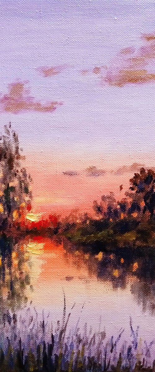 Sunset by Oleh Rak