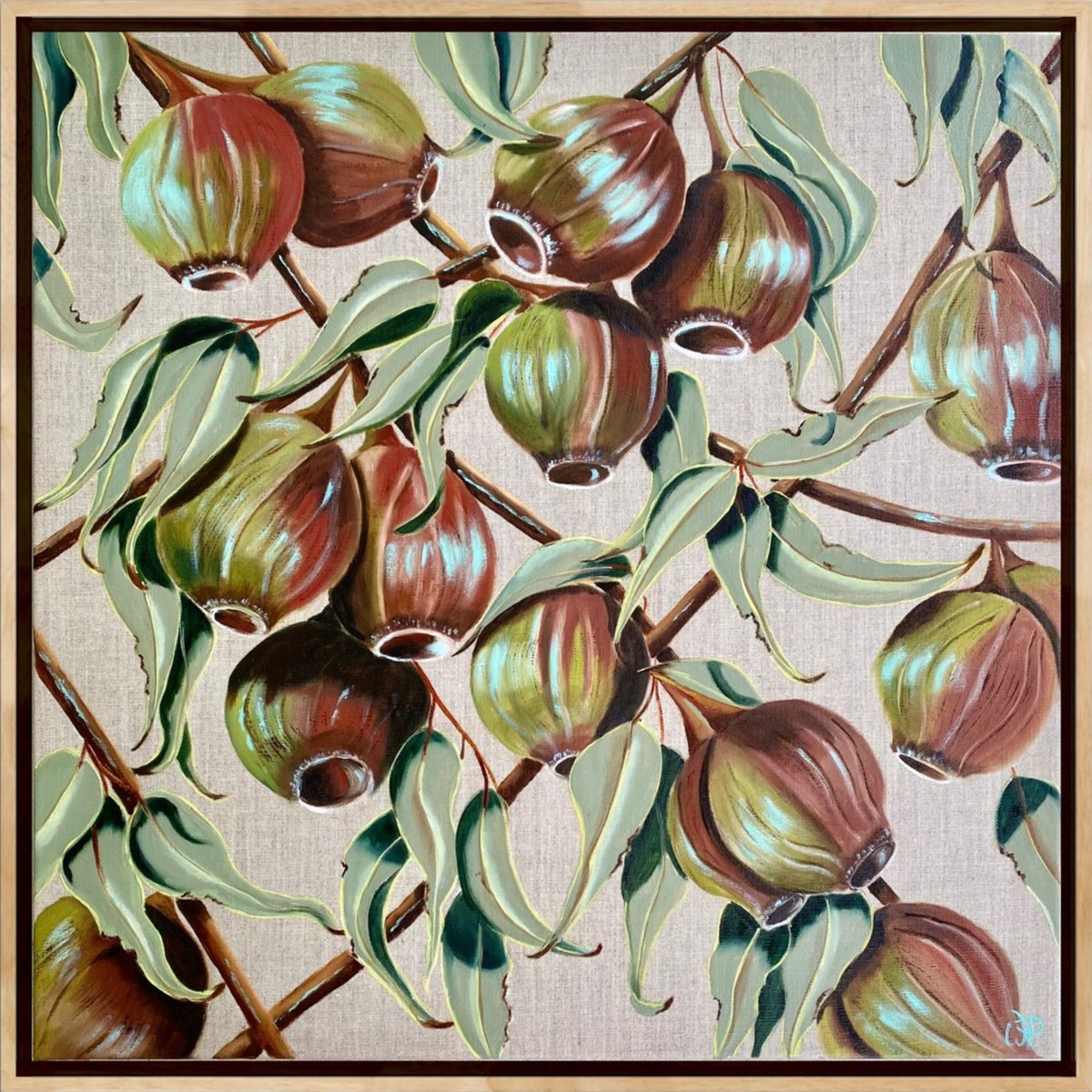 Organic Botanical Oil Painting By Wendy Peters, 25 X 25", Gum Nut Harvest, Original Artwork
