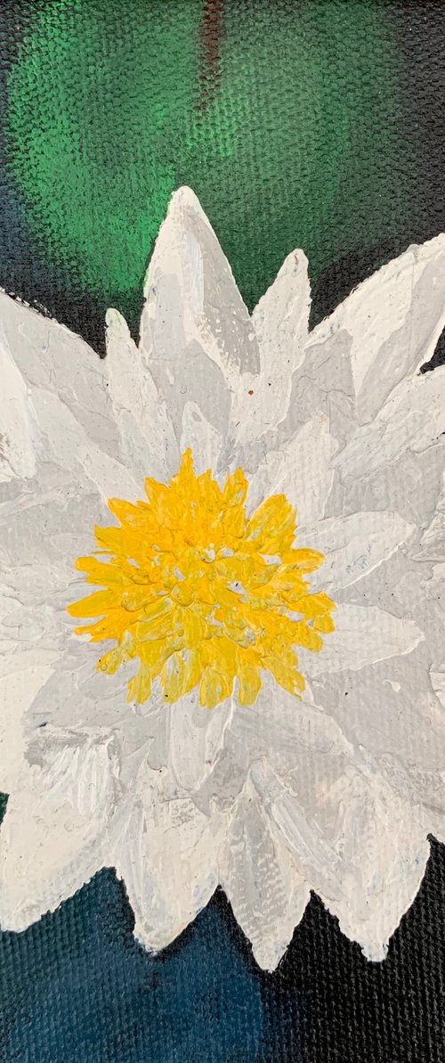 White water lily ! Small Impasto Painting!!  Ready to hang by Amita Dand