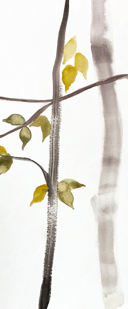 The Woods No. 151 by Elizabeth Becker