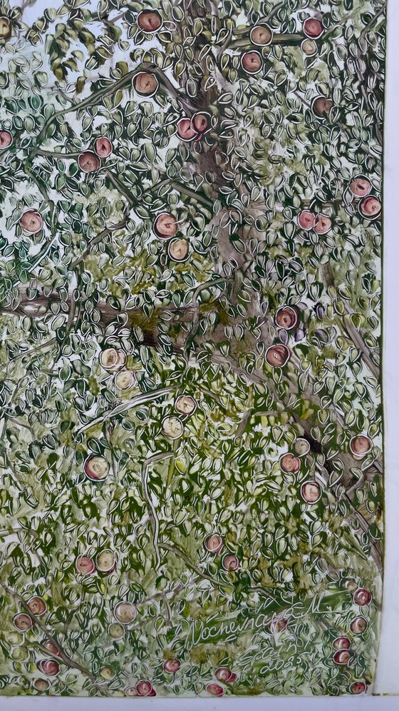 Apple trees and blue sky