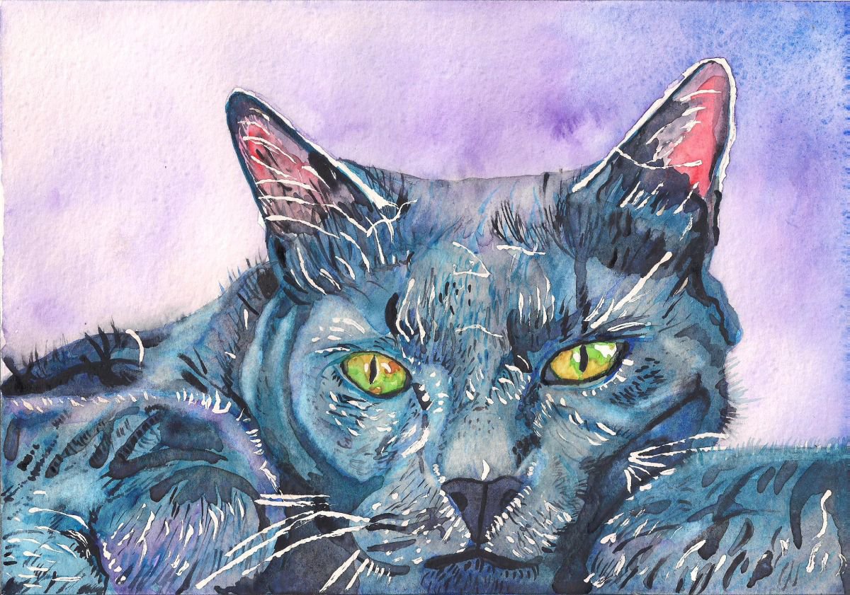 Blue Cat by Nicky Campbell