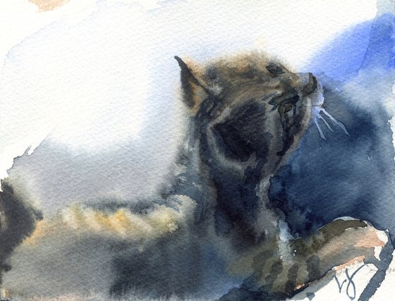 Playing kitten, watercolor sketch