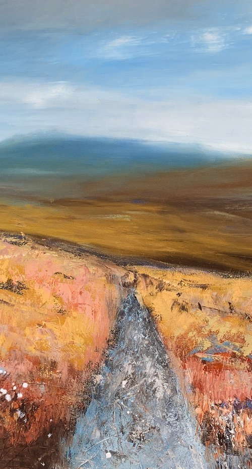 Walking On Dartmoor by Laure Bury