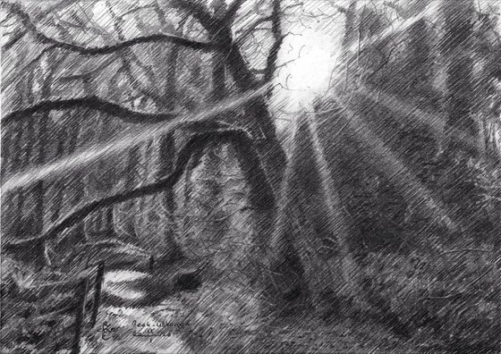 Beek-Ubbergen – 12-01-26