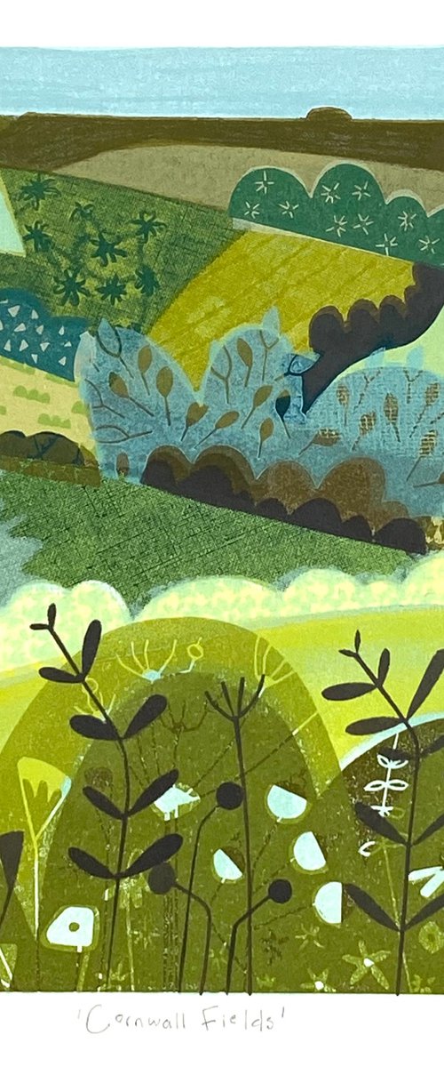 Cornwall Fields by Sarah Broughton