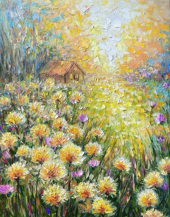 Where the Sun Feels Like Home