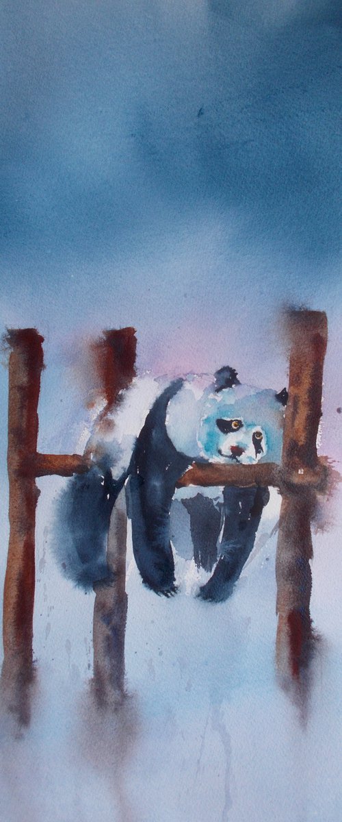 panda 2 by Giorgio Gosti