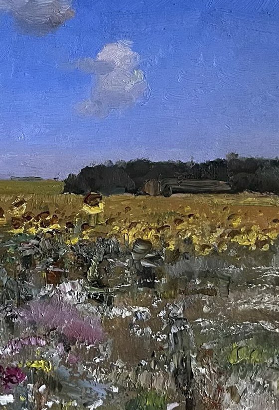 Sunny field