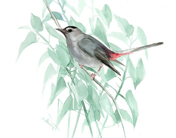 Gray Catbird, Bird artwork