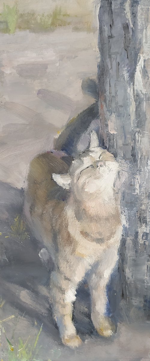 Cat by Valentina Andrukhova