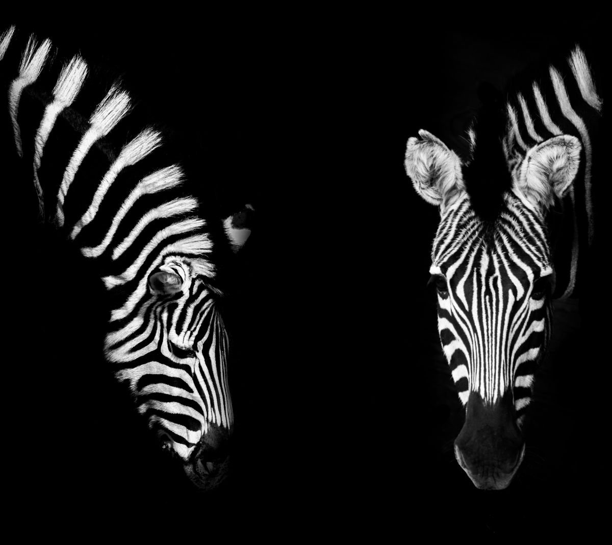 Photorealistic Photograph , Double Stripe By Paul Nash, 18 X 18, Artwork For Sale On Artfinder