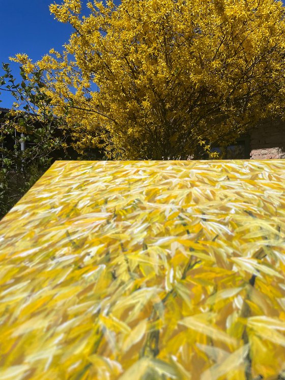 Golden Rain — The First Rays of Spring