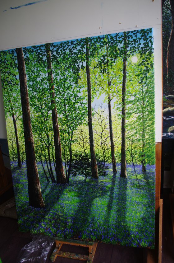 Springtime Shadows