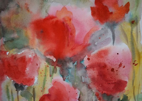 Original watercolor painting Flowers poppies