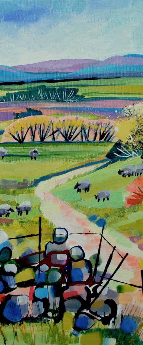 Sheep Field by Julia  Rigby