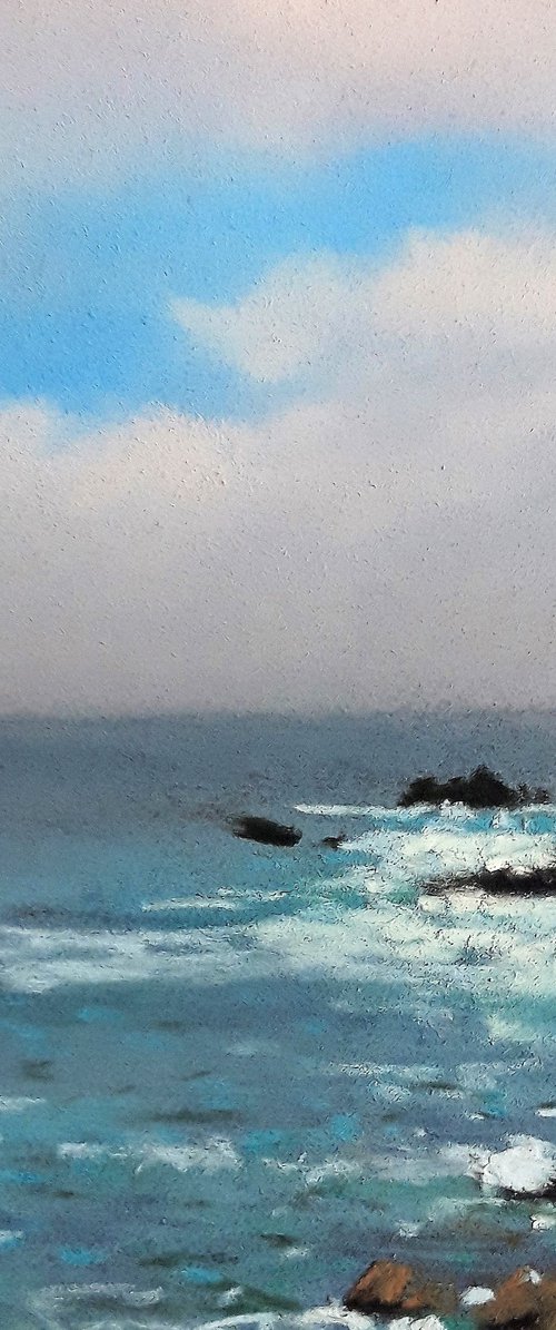 Wild coast by José DAOUDAL
