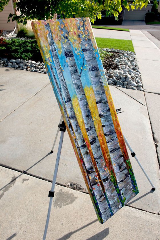 Colorado Aspen 2