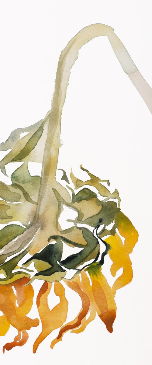Sunflower No. 2 by Elizabeth Becker