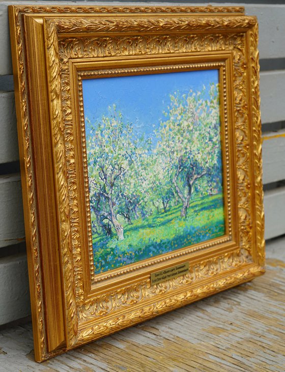 Apple tree in bloom. Kolomenskoye