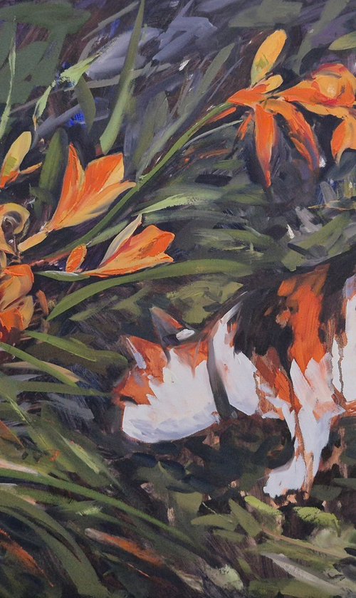 Curious Cat by Tamara Vieira