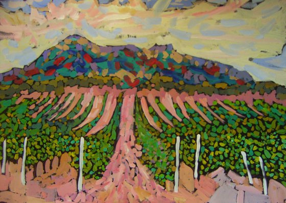 vineyards, 70x50 cm