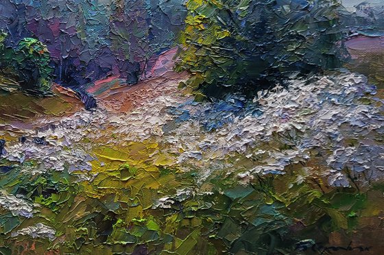 Wildflowers are growing