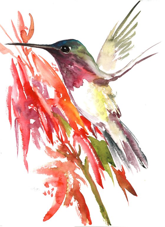 Hummingbird