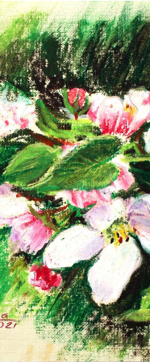 Apple flowers... /  ORIGINAL PAINTING by Salana Art